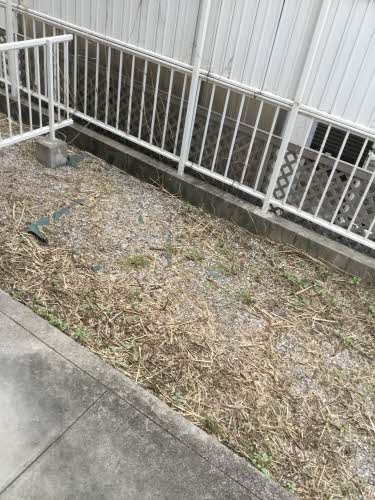 セントフロー 0105号-7