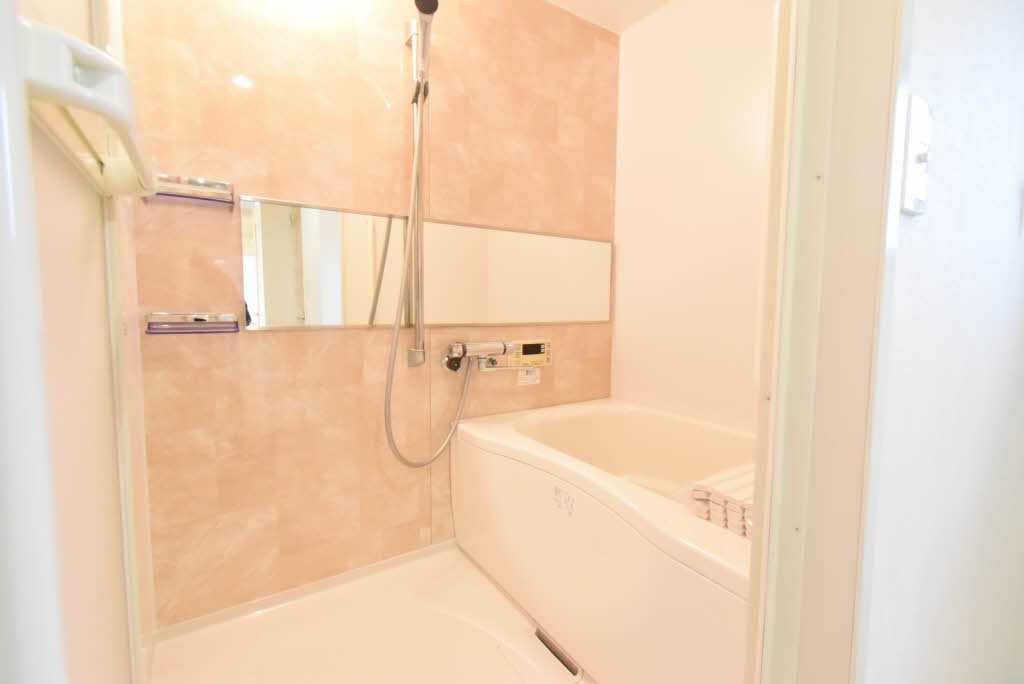 ハイツ下山 A202号-13