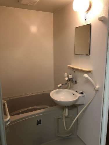 カーサマーク 0101号-5