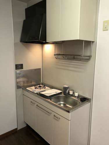 カーサマーク 0101号-9