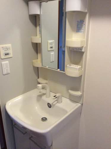 ディアスフラワ－ハウスⅡ 0101号-3