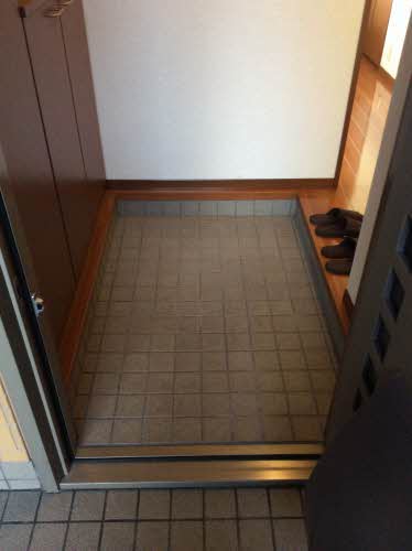 ディアスフラワ－ハウスⅡ 0101号-9