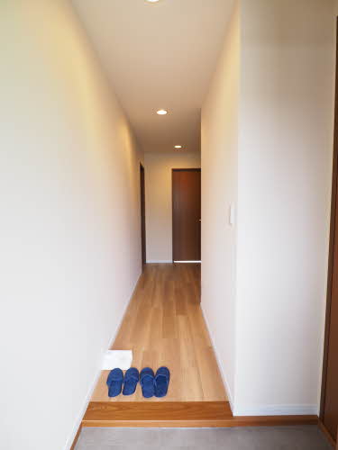 ピュアパルクシクーザ B203号-12