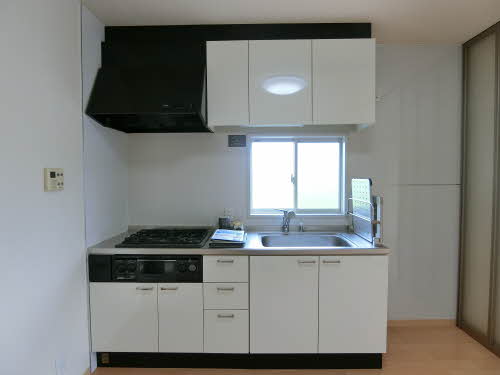 Ｓｕｎｆｌｏｗｅｒ 0101号-6