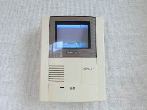 Ｓｕｎｆｌｏｗｅｒ 0101号-11