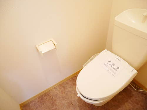 Sunflower 0102号-10