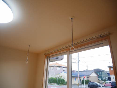 Sunflower 0102号-14