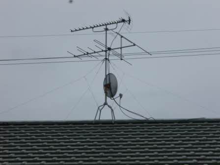 パラダイス A201号-15