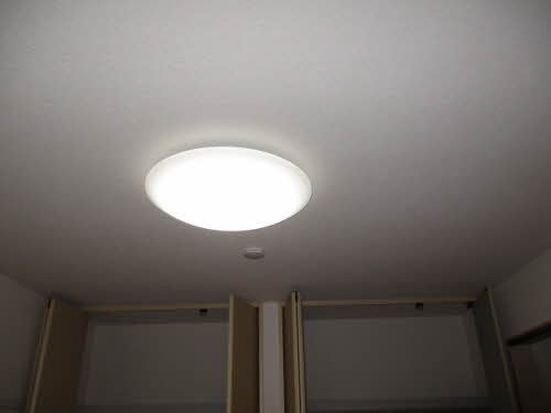 スプリングフラット 0101号-12