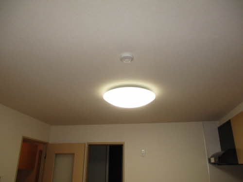 スプリングフラット 0101号-13