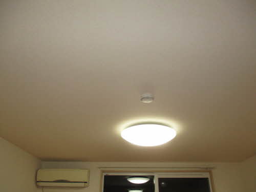 スプリングフラット 0101号-14