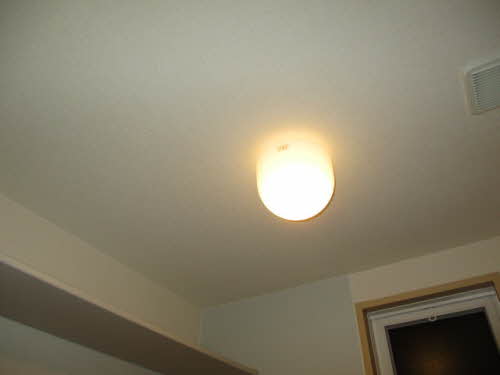 スプリングフラット 0101号-15