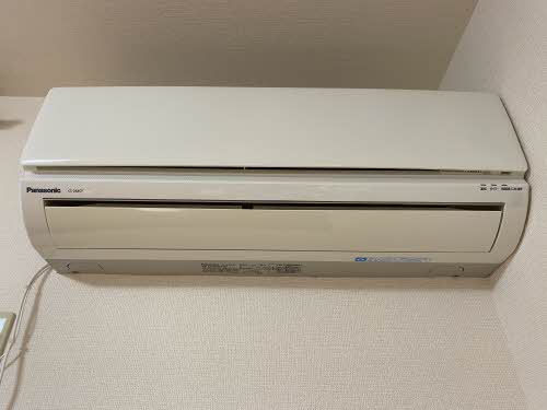 アムールダイコク C102号-13