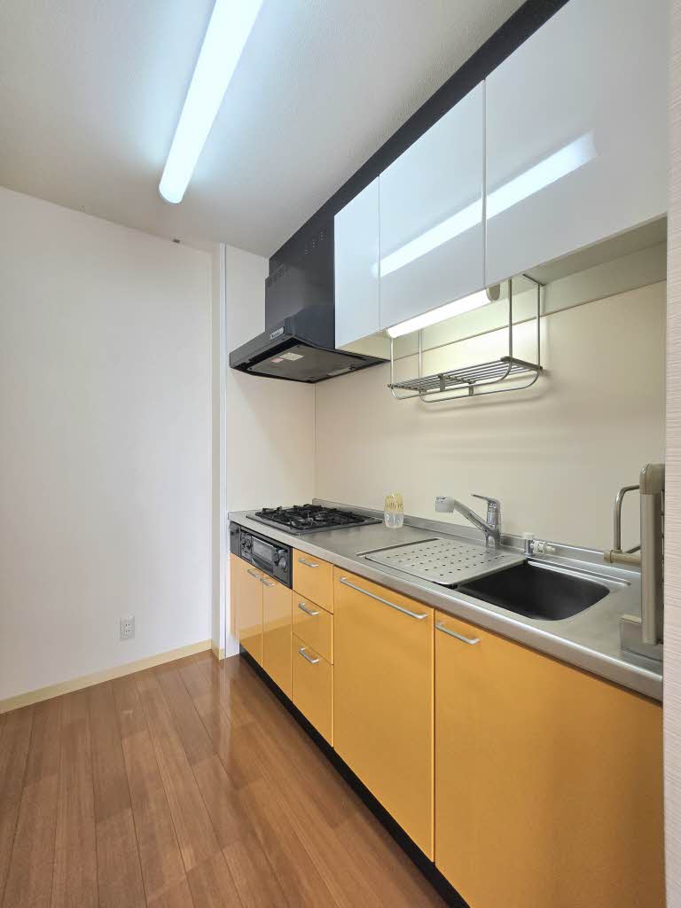 グレイスステージⅢ B201号-6