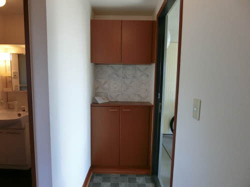 メゾンドルミエール A201号-4