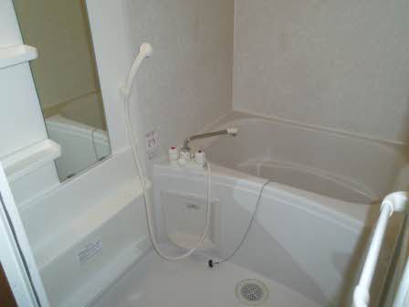 ブランシェアイリス B102号-10