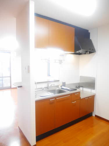 ウィル・シンシア 0203号-4