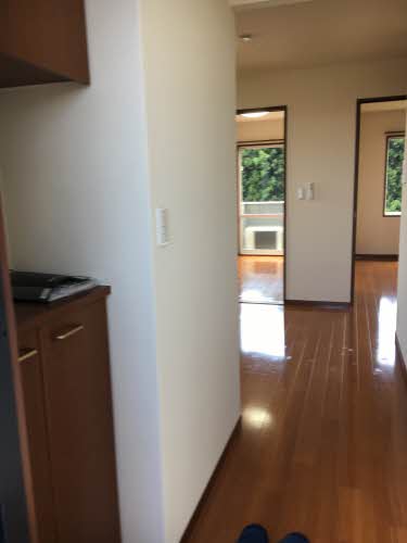 チェリーブラッサム A201号-2