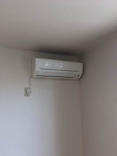 ピア グリーン 0202号-14