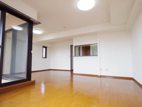 マキシムドルフＭ・Ｓ・Ｙ 0501号-3