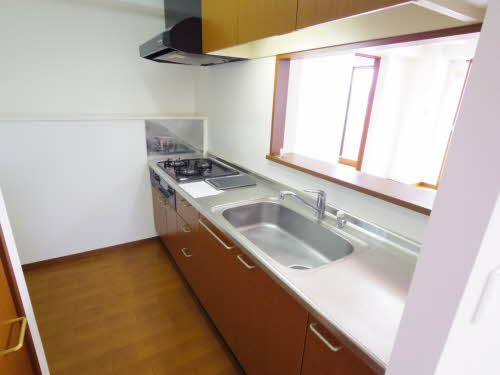 マキシムドルフＭ・Ｓ・Ｙ 0501号-9