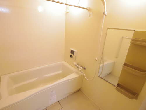 マキシムドルフＭ・Ｓ・Ｙ 0501号-11