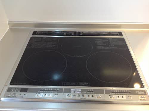 メゾン・ド・アンジェリーク 0205号-15