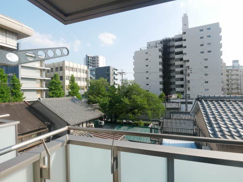 グランコート　シトラス 0301号-14