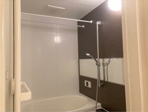 Brownie今朝白 0201号-8