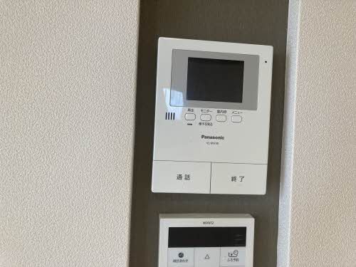 Brownie今朝白 0201号-10