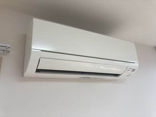 Brownie今朝白 0201号-11