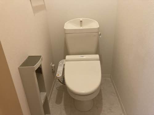 Brownie今朝白 0201号-13