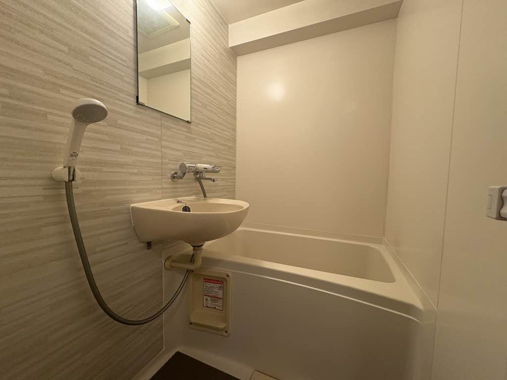 Ｓａｌｕｔｅ 0304号-8