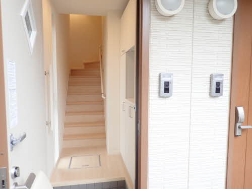 カプリレモン 0201号-4