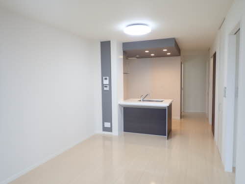 カプリレモン 0201号-9