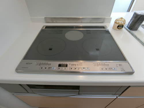 セントラルハウス 0103号-10