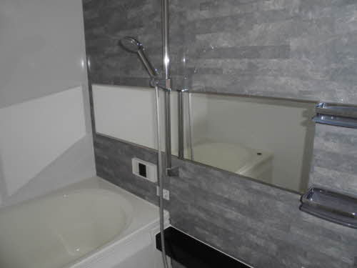 レフィアント 0203号-10