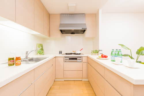 プライムメゾン富士見台 0202号-4