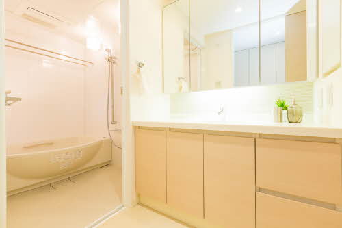 プライムメゾン富士見台 0302号-8