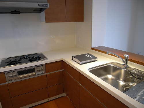 プライムメゾン富士見台 0305号-3