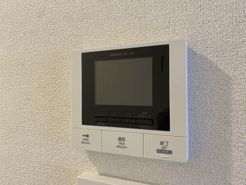 ベル・ビスカス 0203号-13