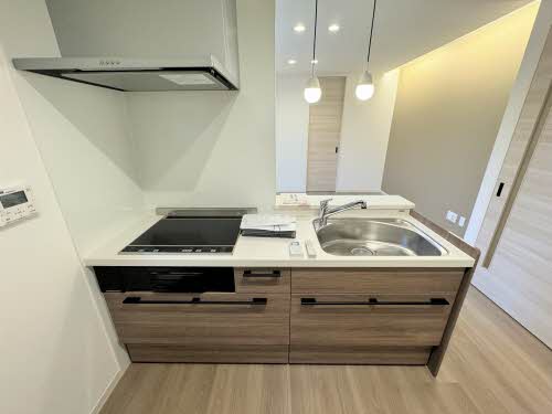 カルムⅡ（ＣａｌｍｅⅡ） 0102号-6