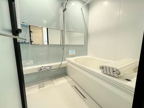 カルムⅡ（ＣａｌｍｅⅡ） 0201号-11