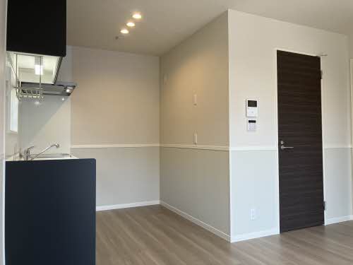 ランペドゥーサ燕 0101号-3