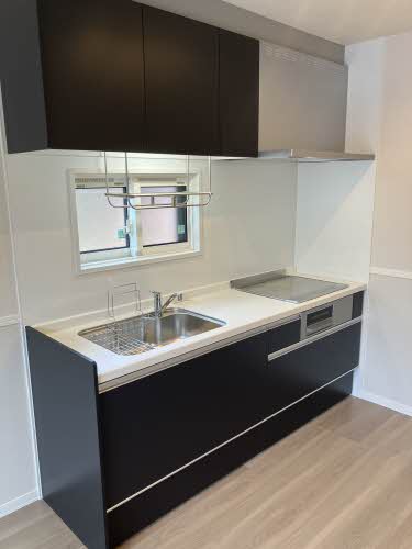 ランペドゥーサ燕 0101号-5