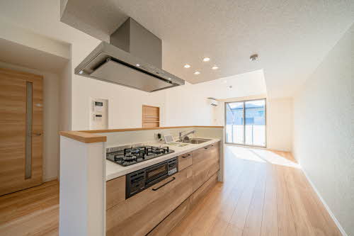 シャーメゾン長良東 203号-7