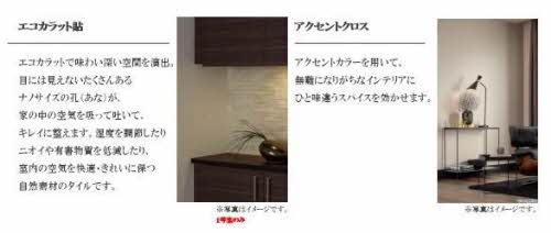 シャーメゾン白壁 0101号-6