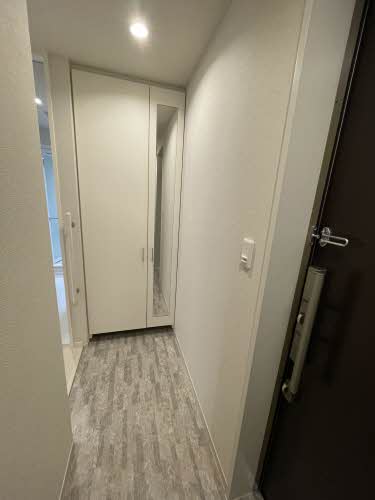 Ａｌｂｅｒｅｔａ（アルベレータ） 0203号-10