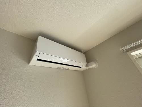 Ａｌｂｅｒｅｔａ（アルベレータ） 0203号-12