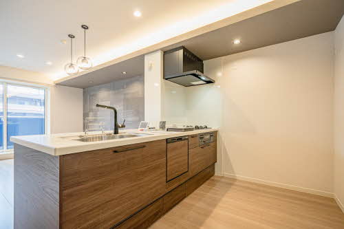 ルアナ　ヒラ 0305号-10